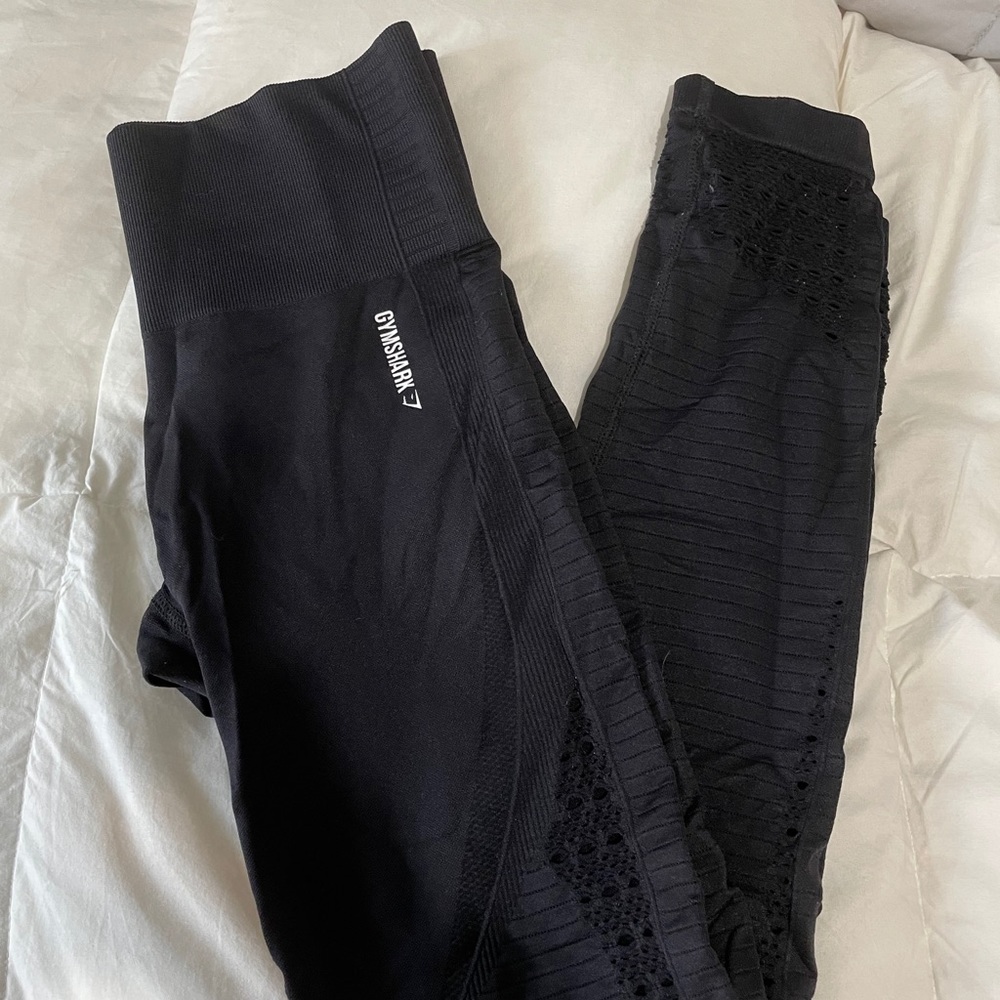 Gym shark Leggings